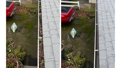 Gutter Cleaning
