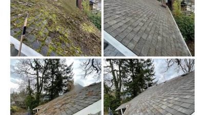 moss removal