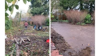 yard cleanup